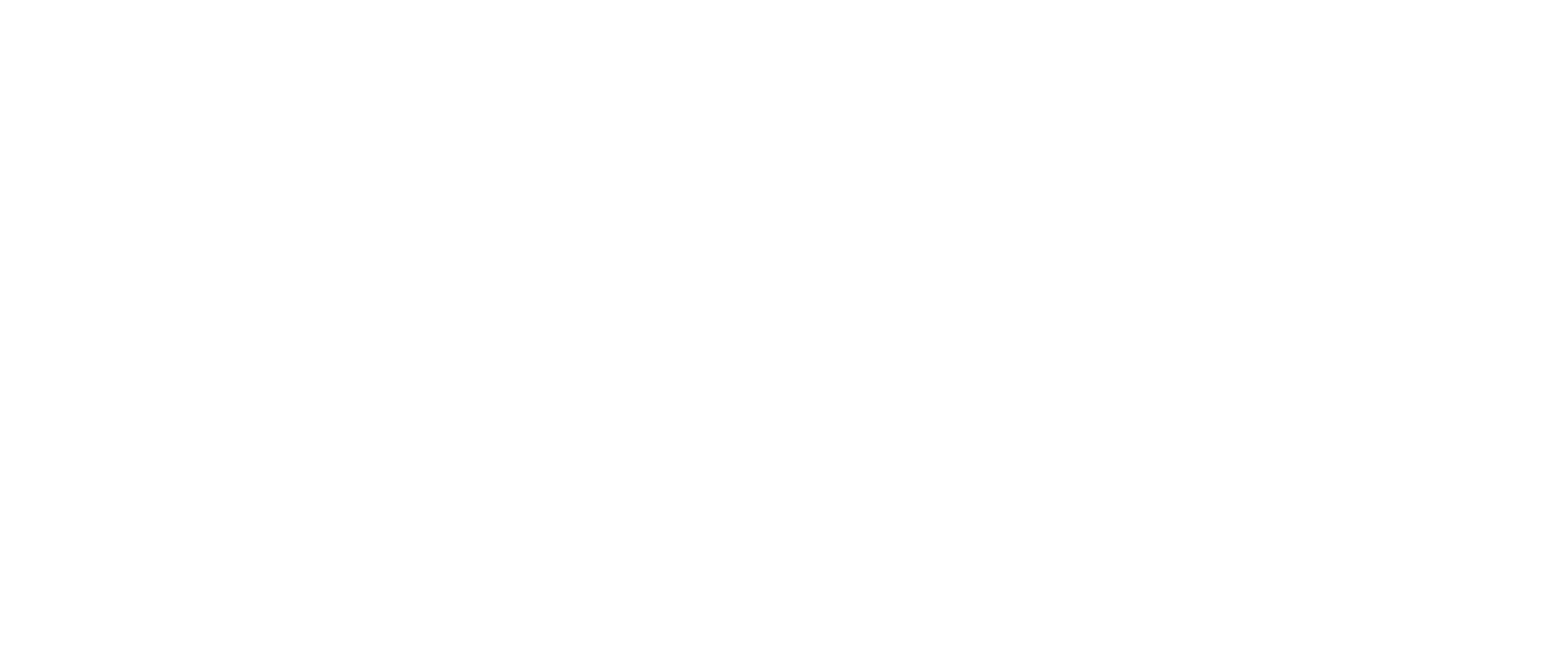 logo-footer